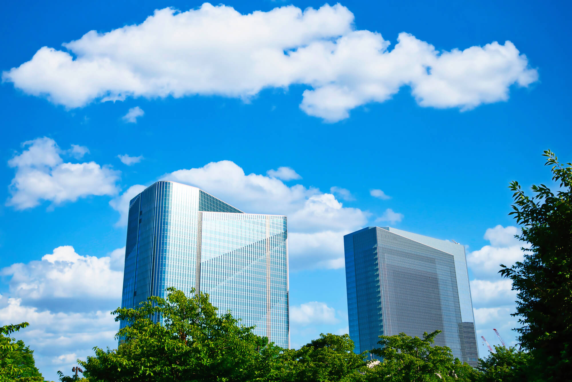 company 背景